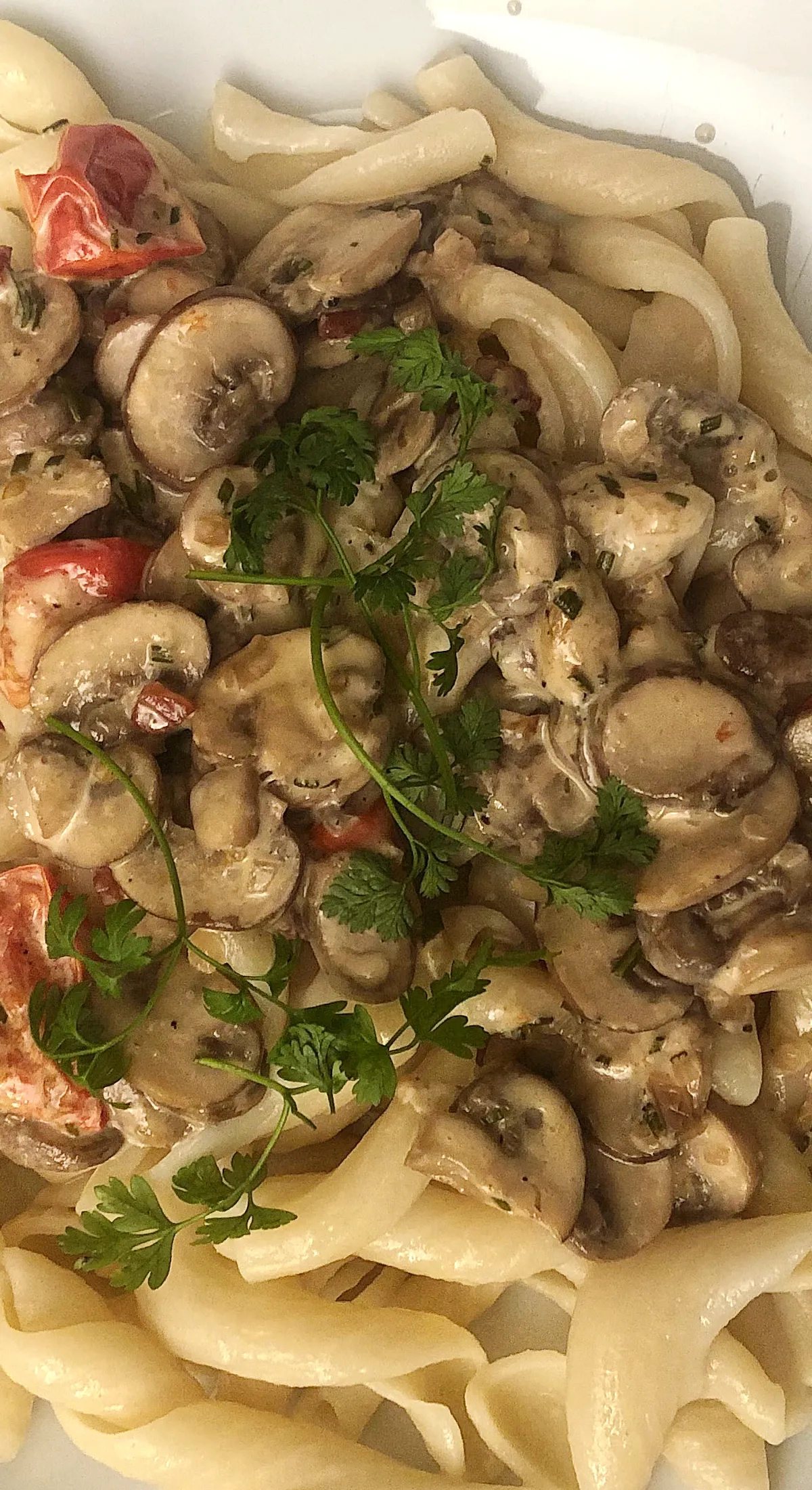 Torciglioni Caserecci in Champignon-Sahne-Sauce