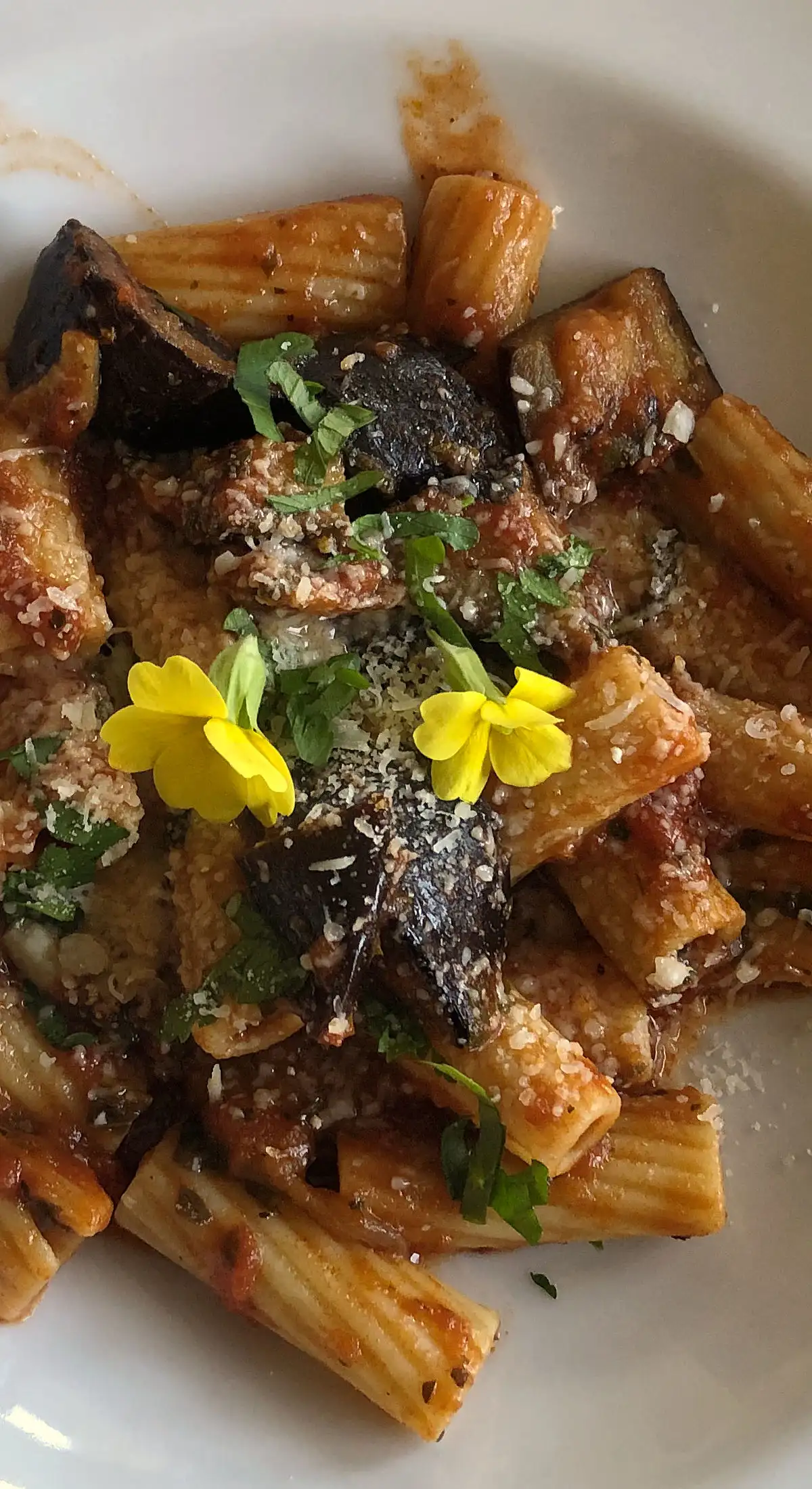 Pasta mit Tomaten-Melanzani