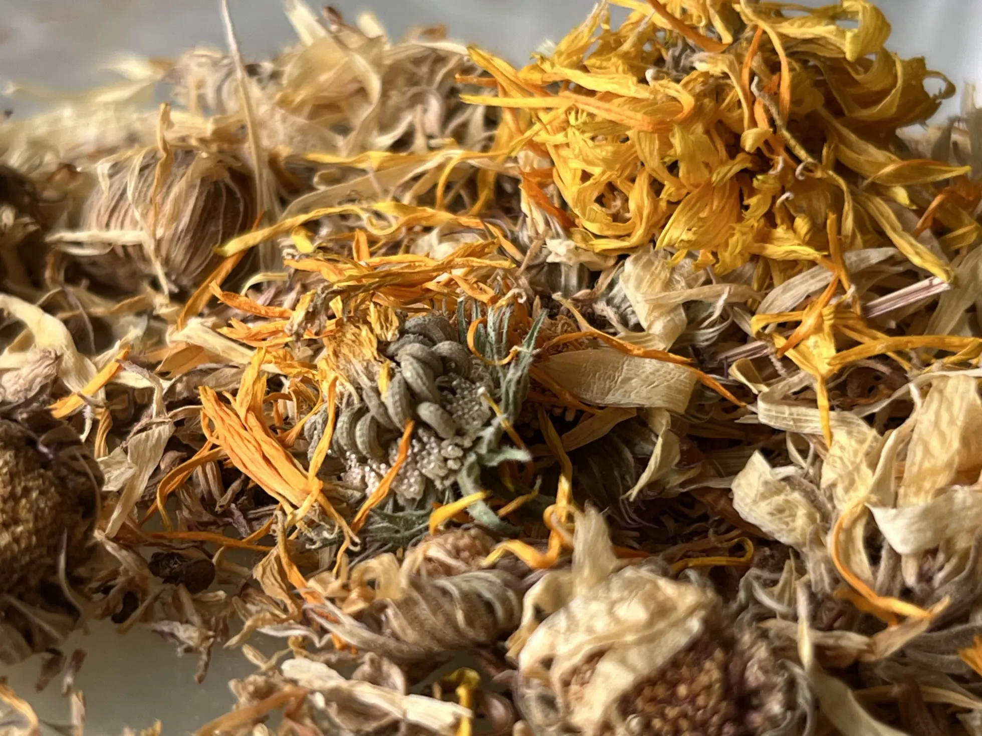 Ringelblume getrocknet