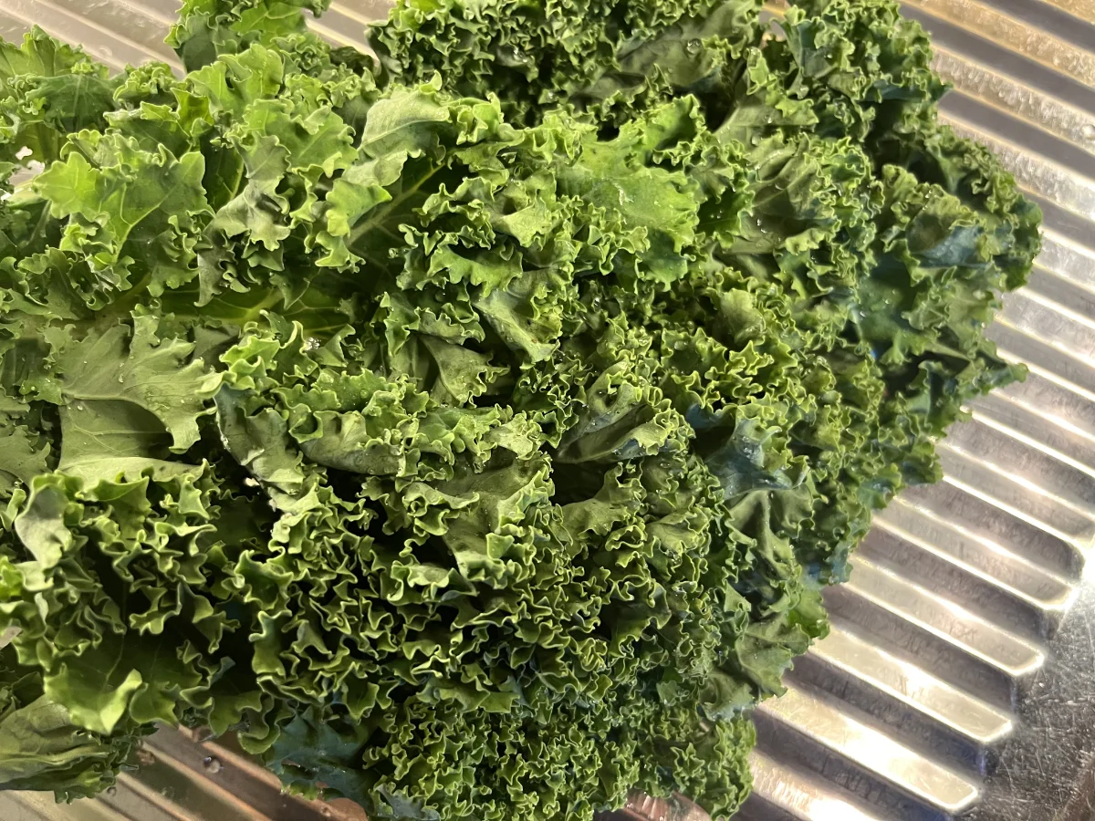 Grünkohl mit Bratwurst und Kartoffelstampf