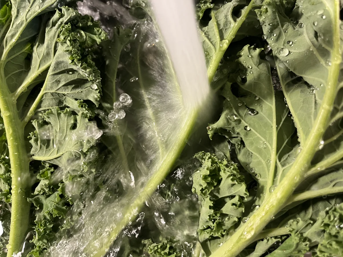 Grünkohl mit Bratwurst und Kartoffelstampf